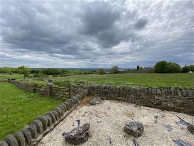 Picture 26